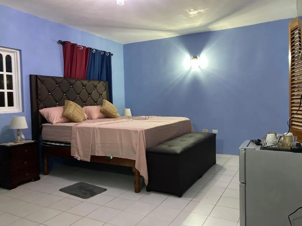 Blue Flamingo Villa Montego Bay